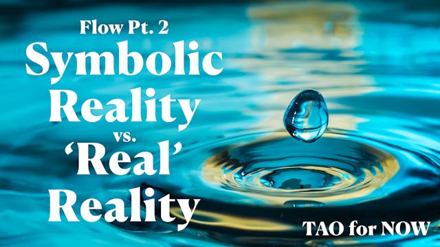 Flow Pt. 2: Symbolic Reality vs. “Rea...