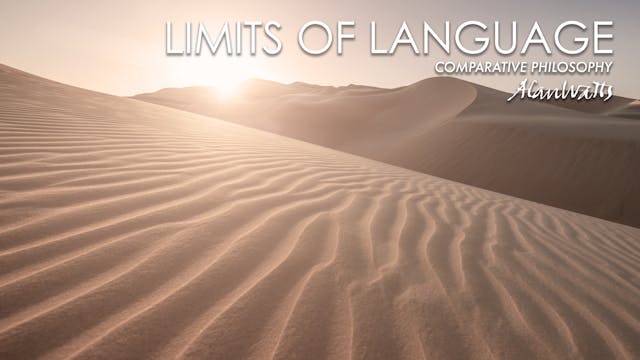 (unpublished) Limits of Language