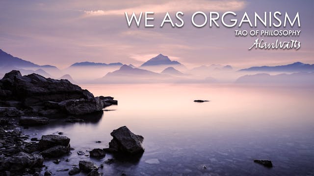 We As Organism