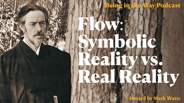 Flow: Symbolic Reality vs. Real Reality - Being in the Way Podcast
