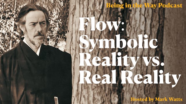 Ep. 30 - Flow: Symbolic Reality vs. R...