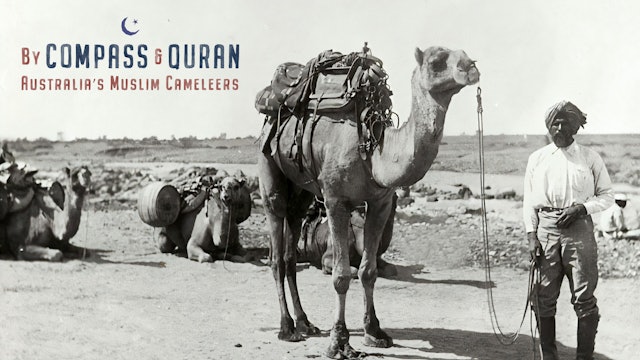 By Compass and Quran: History of Australia’s Muslim Cameleers