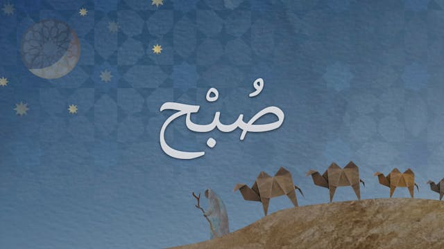 14. Saad