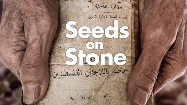 Seeds on Stone