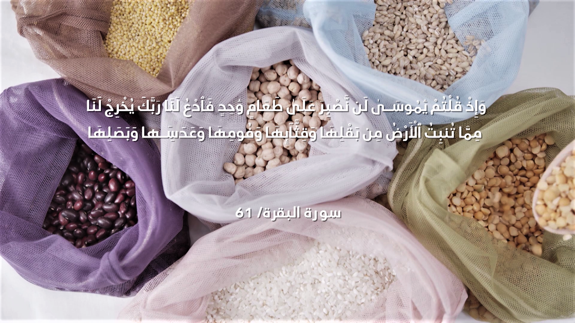 Episode 25 | Richness Of Creation | Beans