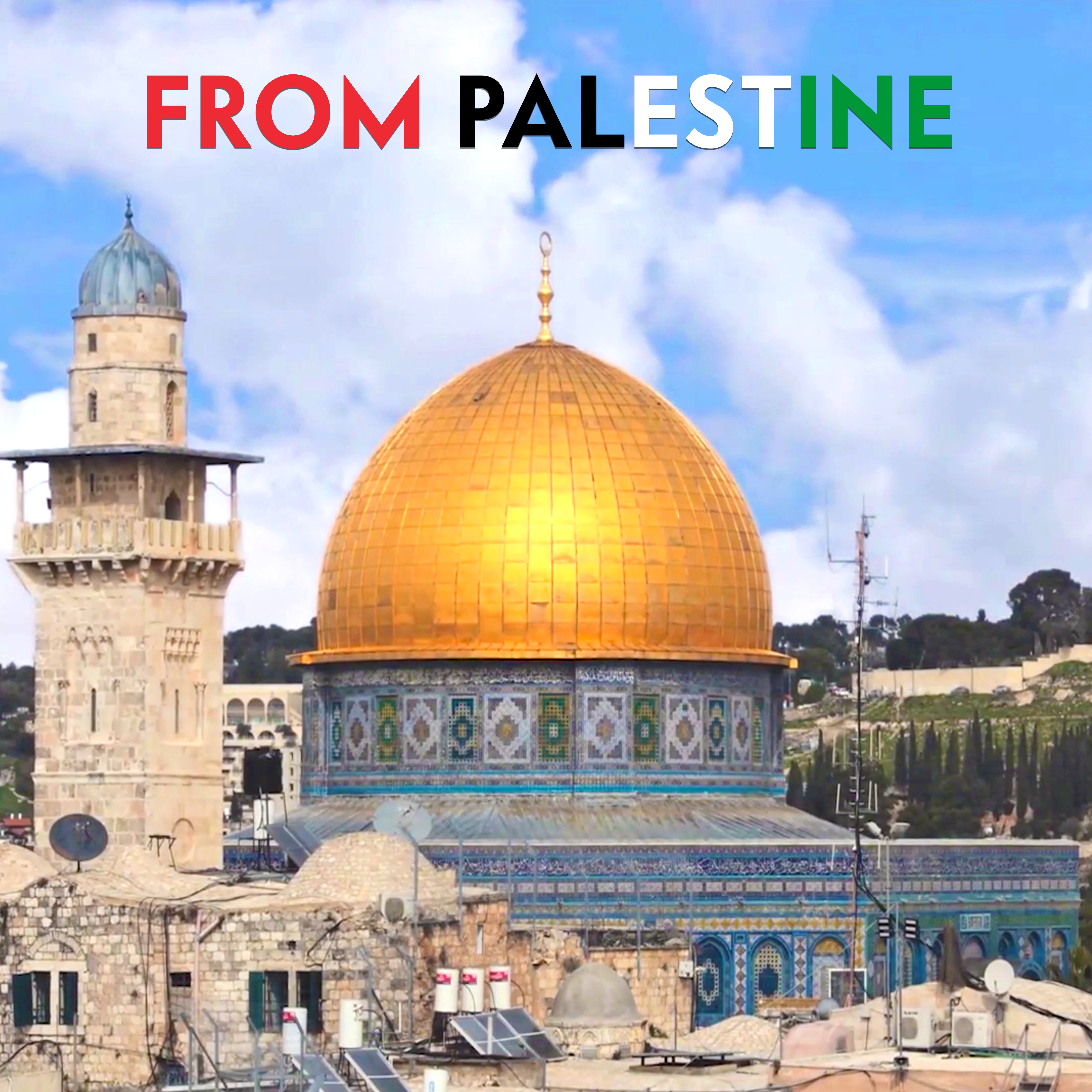 From Palestine | Series