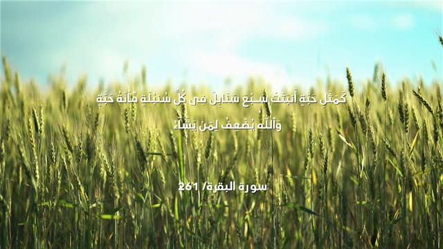 Episode 15 | Richness Of Creation | W...