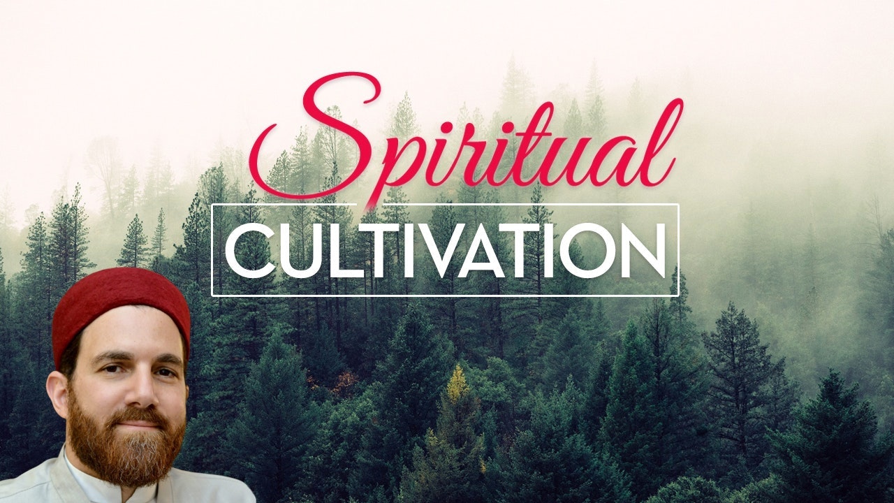 Spiritual Cultivation