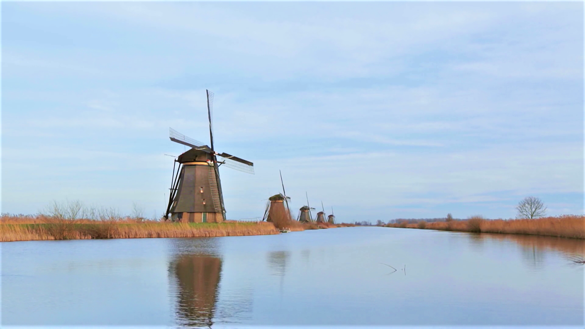 Episode 30 | Richness Of Creations | Wind