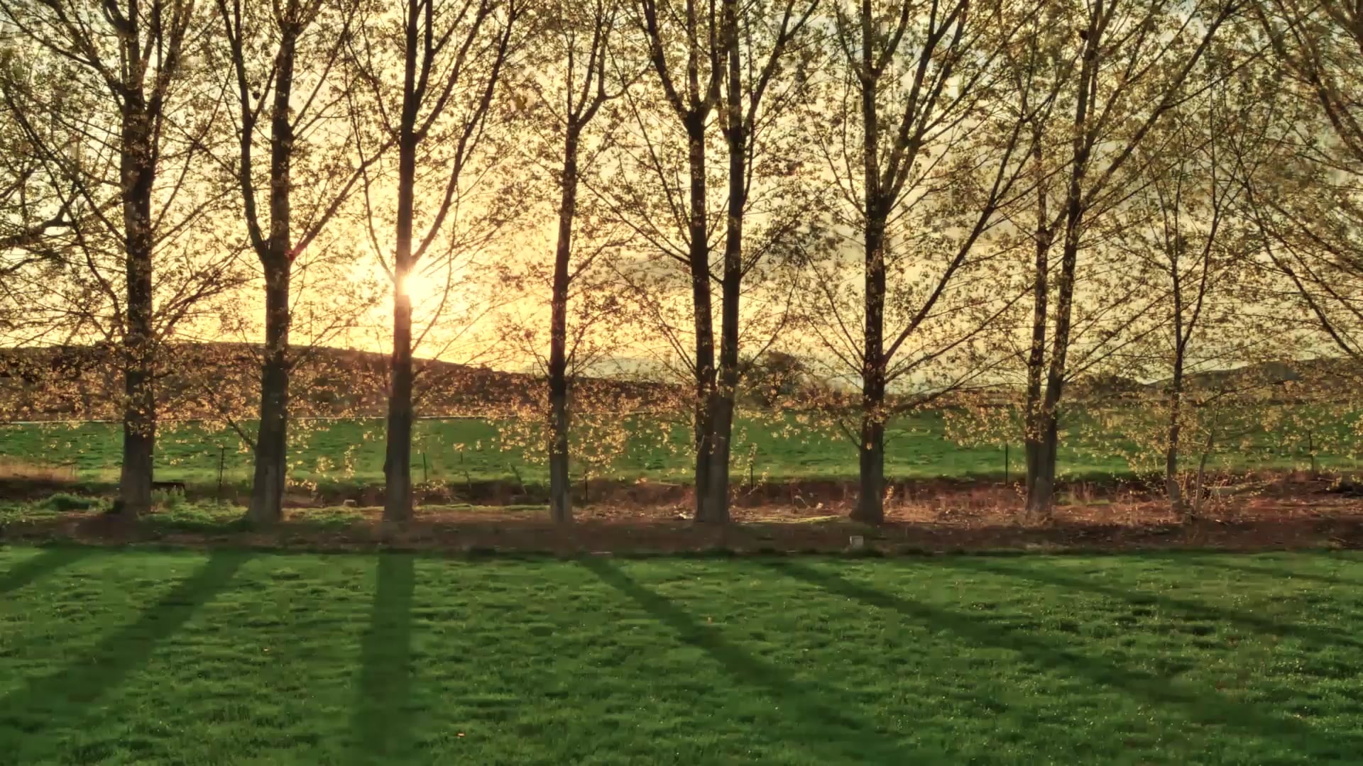 Whipped Cream and Cheerios | Episode 1