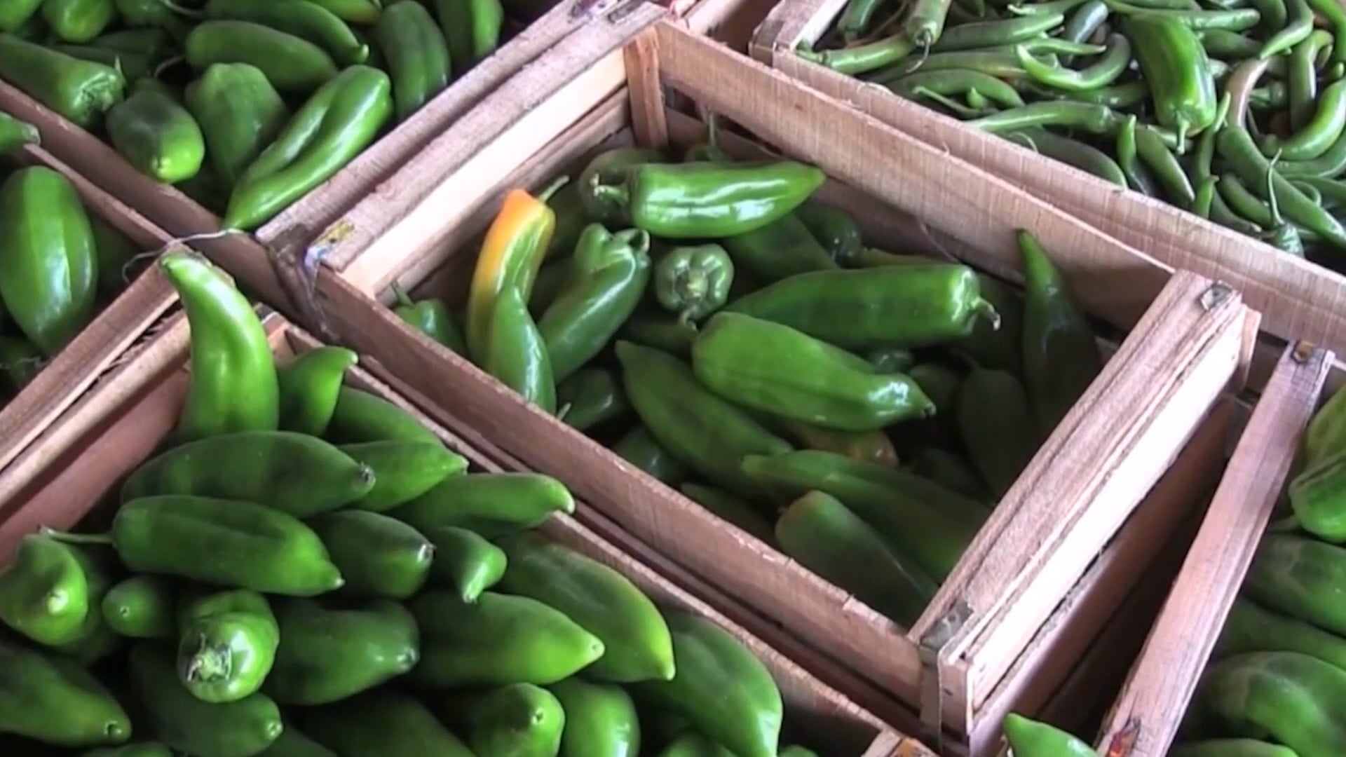 Ramadan in the Islamic World | Mauritania, Libya and Somalia