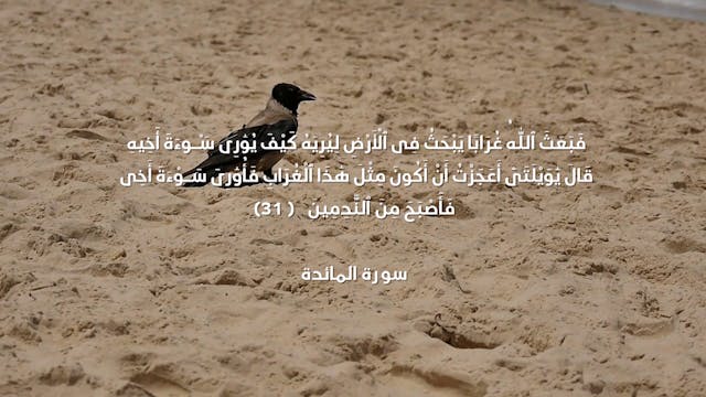 Episode 16 | Richness Of Creation | Crow