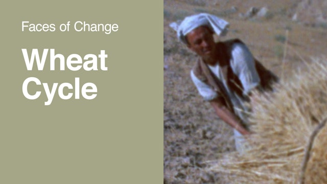 Faces of Change | Wheat Cycle