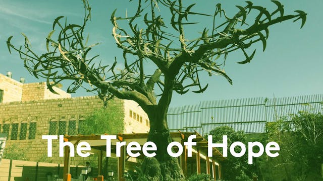 The Tree of Hope