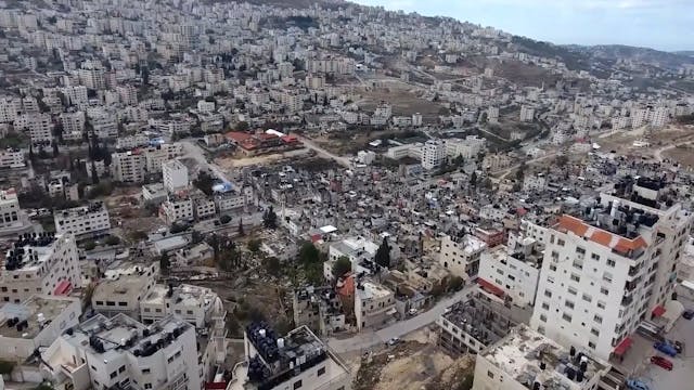 From Palestine - Landscapes