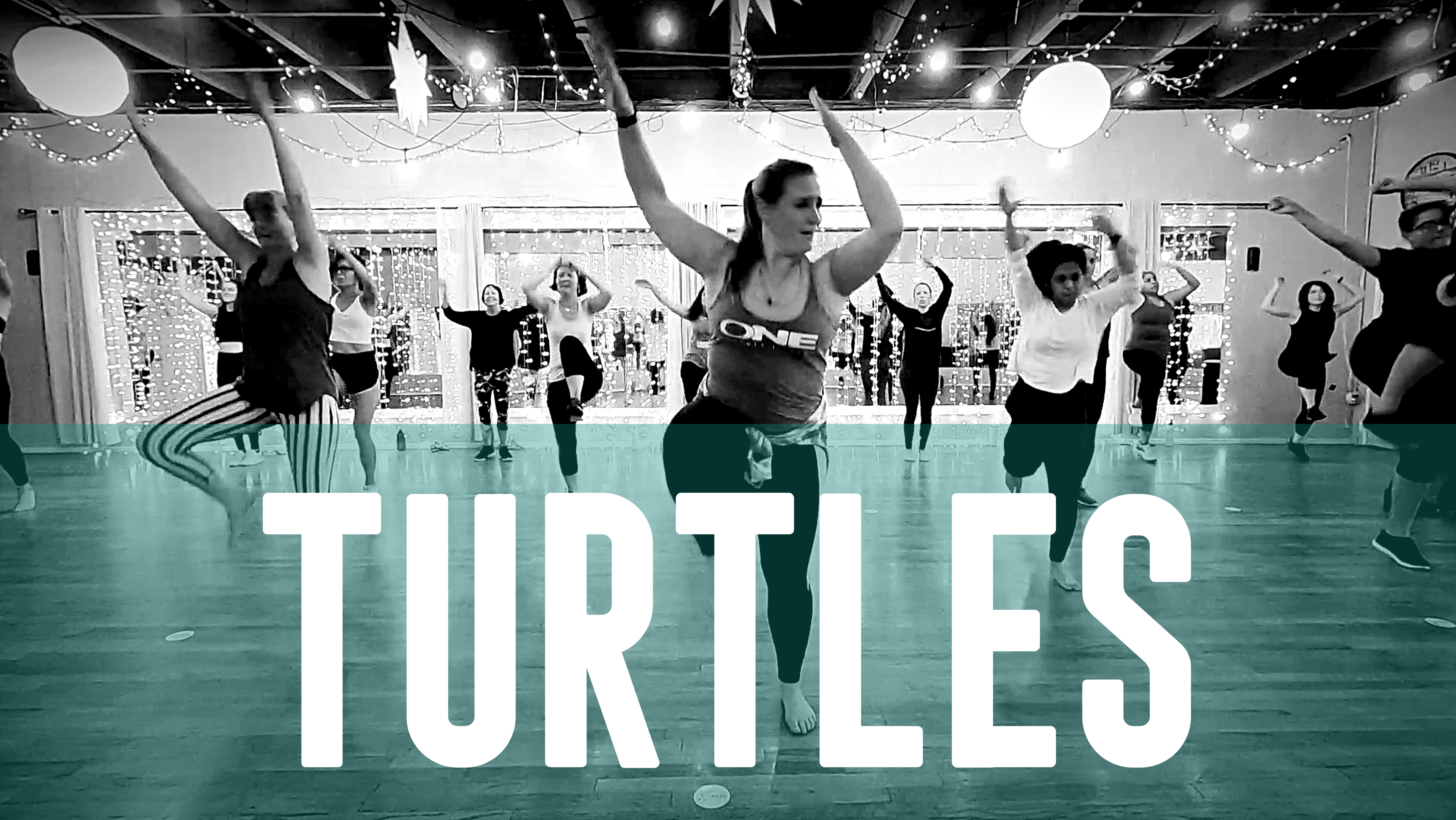 Latin Hype with Ashley & Bethany - Turtles