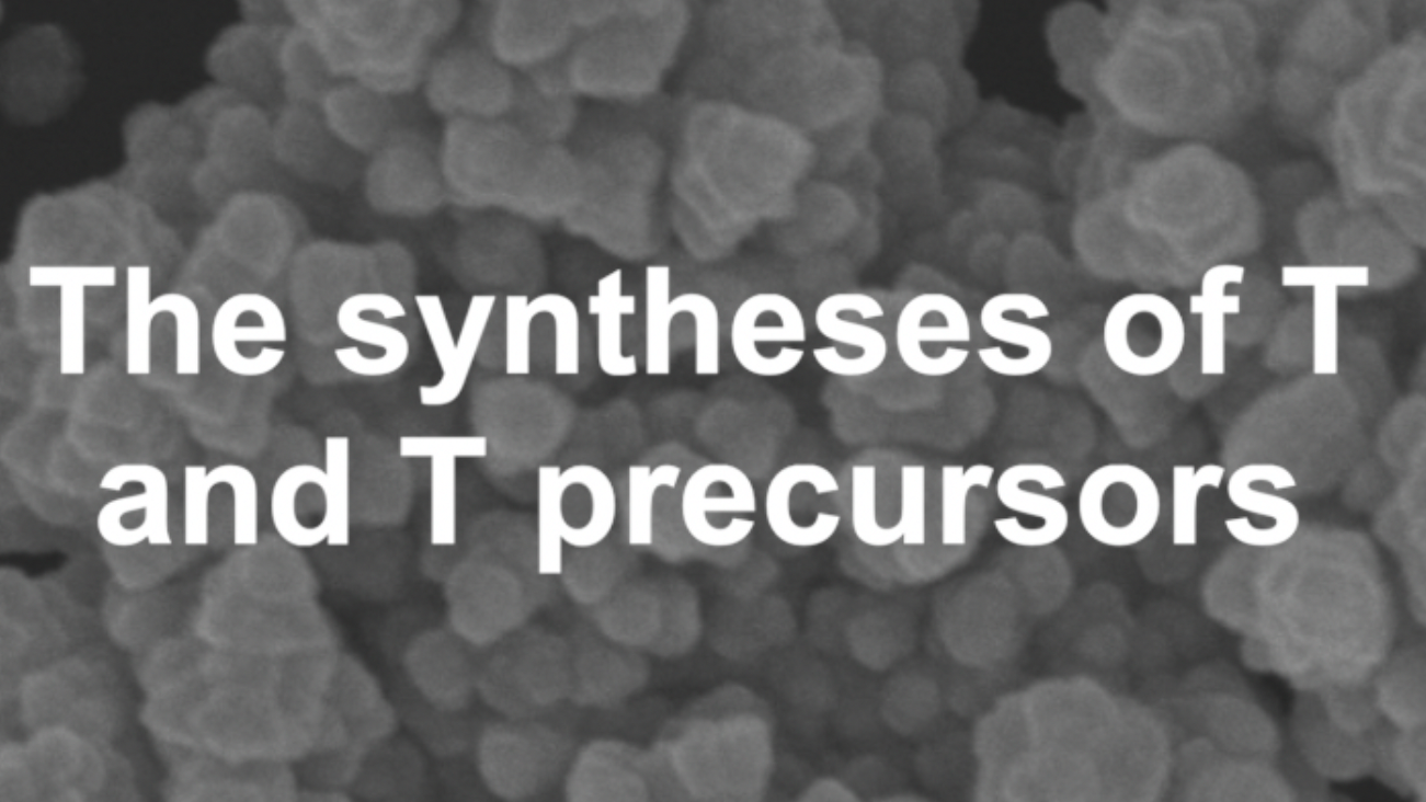 The Syntheses of T and T Precursors 