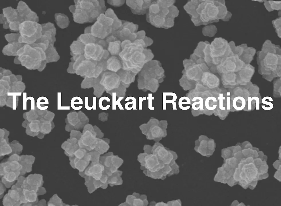 The Leuckart Reactions