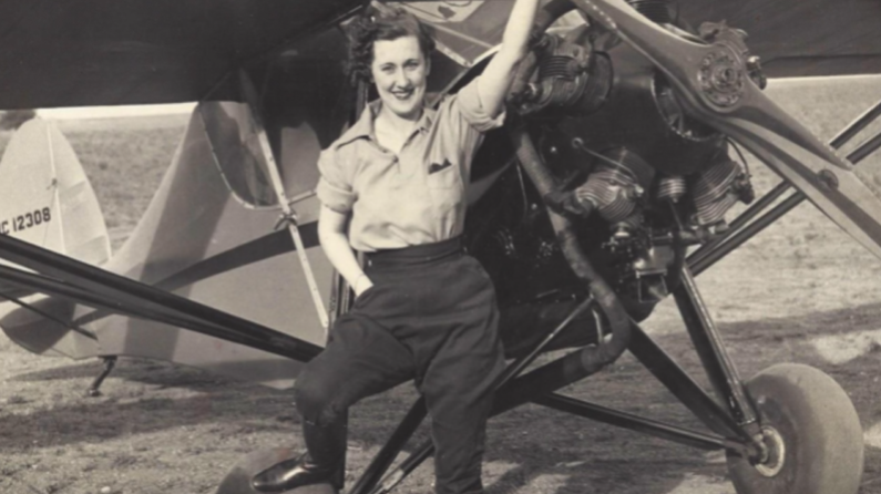 The Wasps Taking Flight - Official Trailer