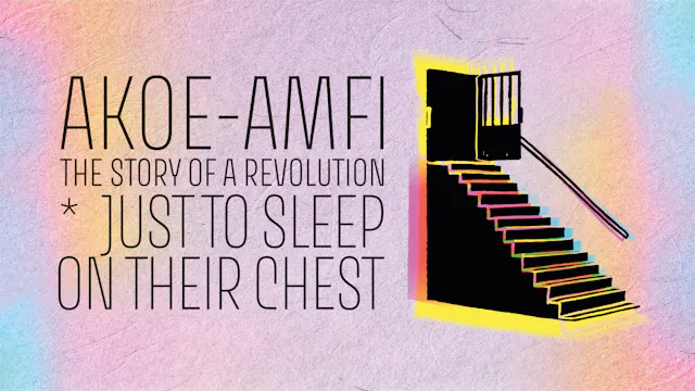 AKOE/AMFI: The Story of a Revolution
