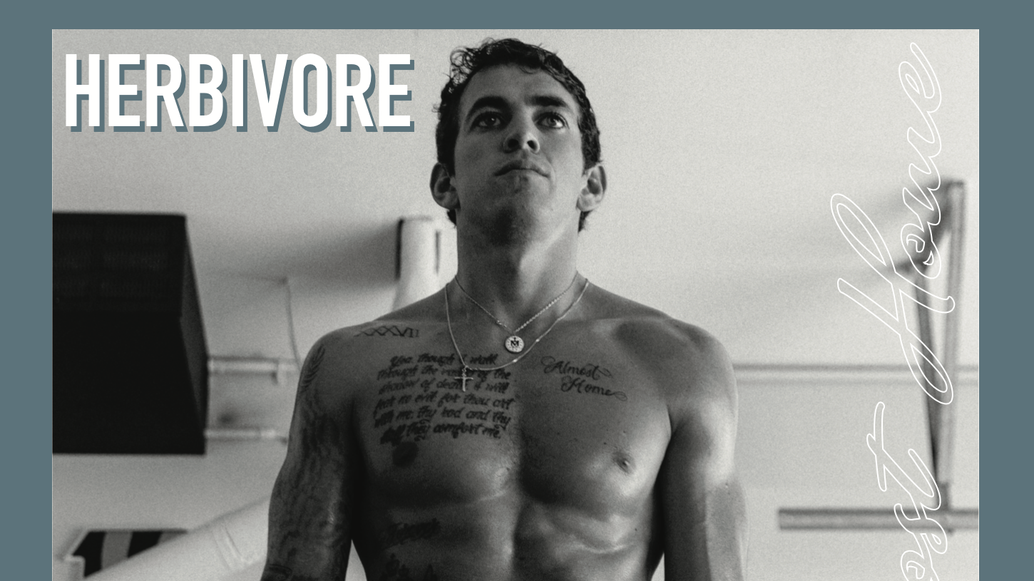 Vegetarian Fat Loss Meal Plan