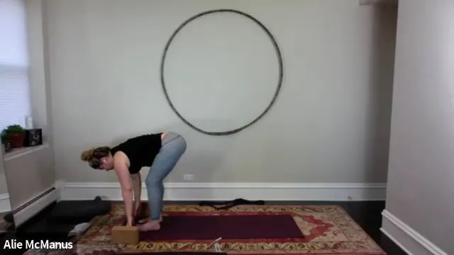 All Levels Yoga (November 16)