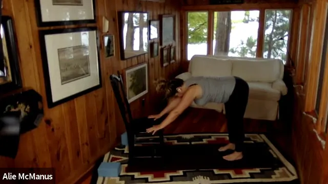 Yoga Level 1