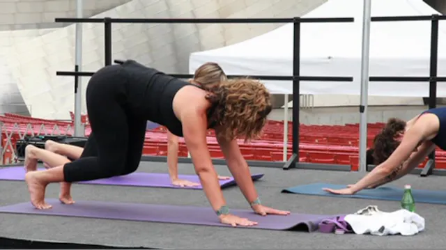 Yoga Pose Flow: Bent Knee Side Angle pose into Half Moon Pose