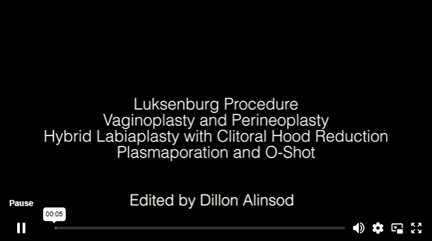 FellowsVid234 LN Luksenburg vp perineoplasty hybrid_lp chrp prp plasmaporation