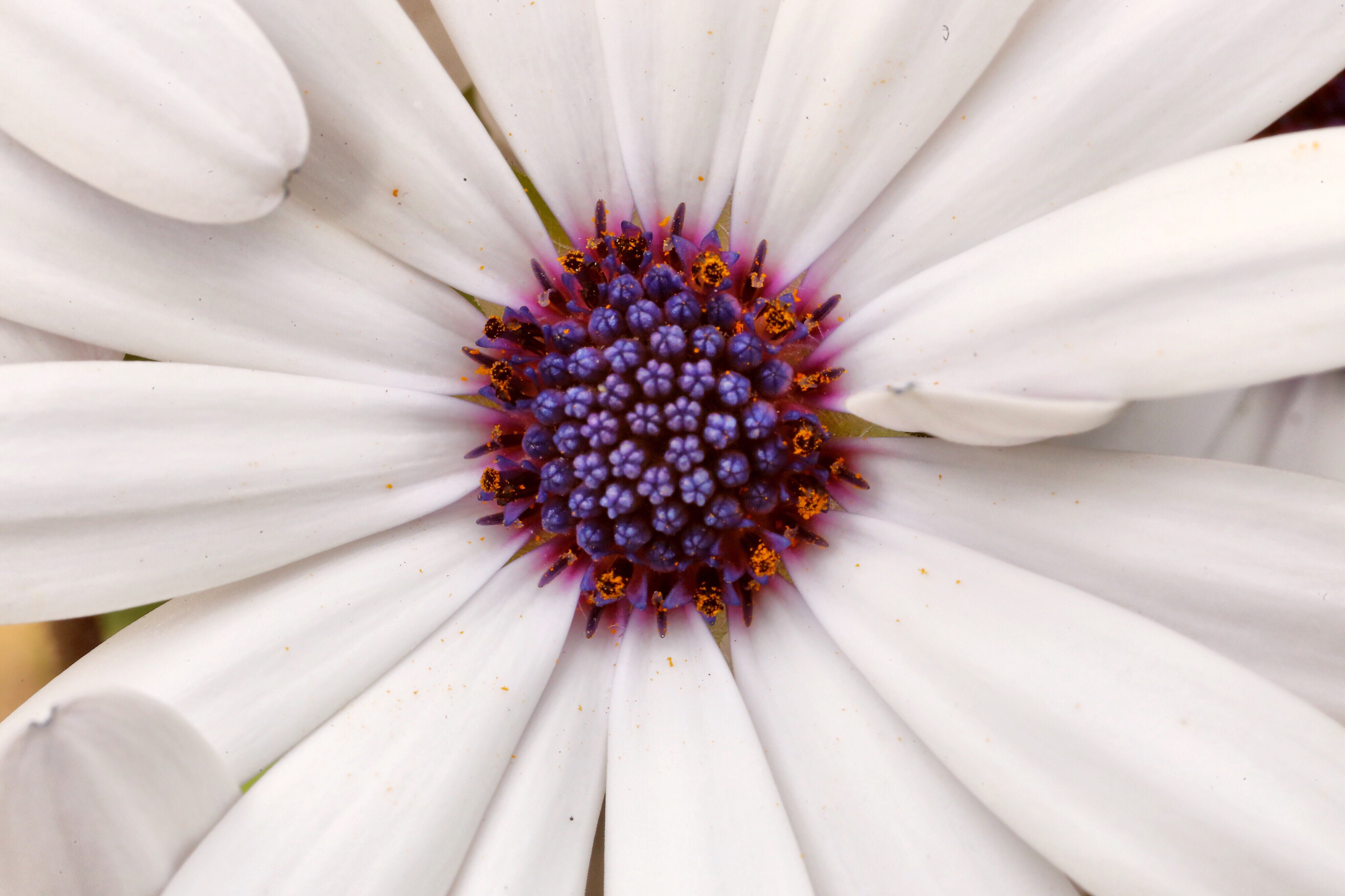 colpoperineoplasty-in-women-with-sensation-of-wide-vagina.pdf