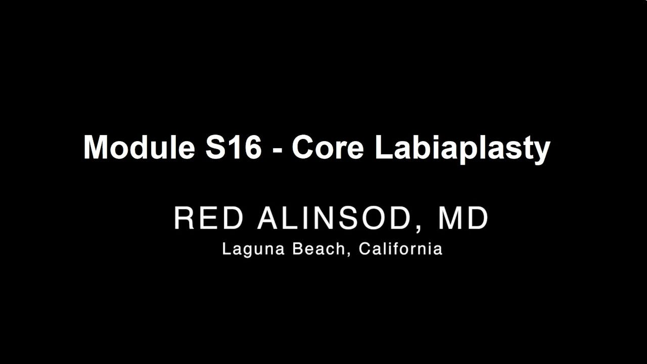 Module S16 - Core Labiaplasty $4000