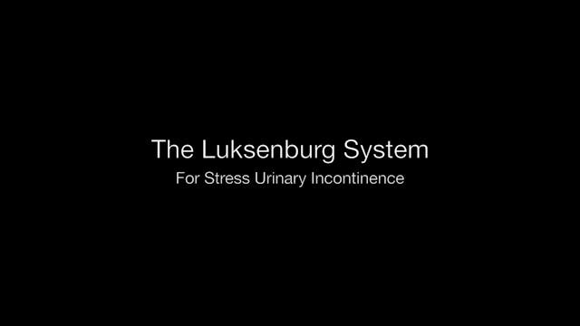 The Luksenburg System for SUI