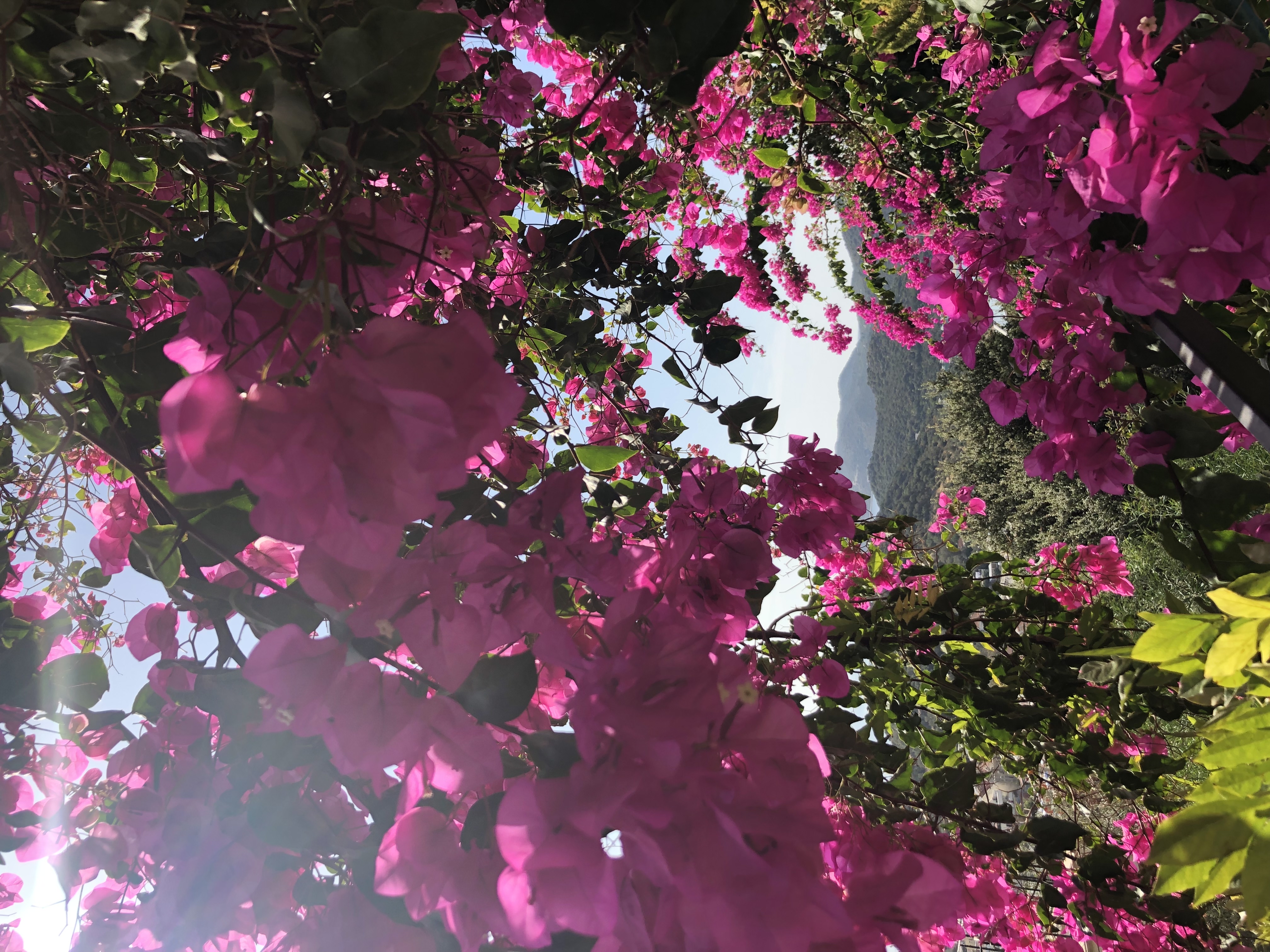 Millheiser-Laxity-Perception.pdf