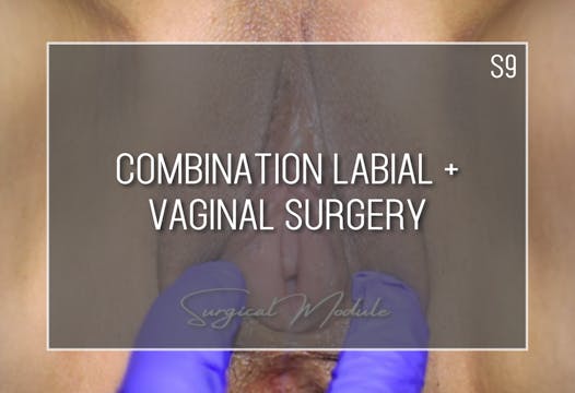 Module S9 Combination Labial/Vaginal Surgery $5000