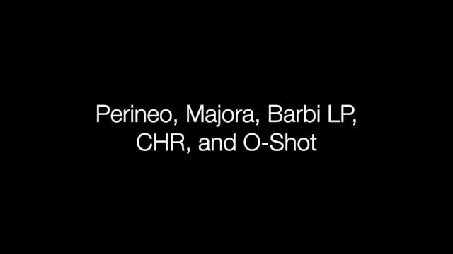 CORTOS – Perineo, LMP, Barbie LP, CHR...