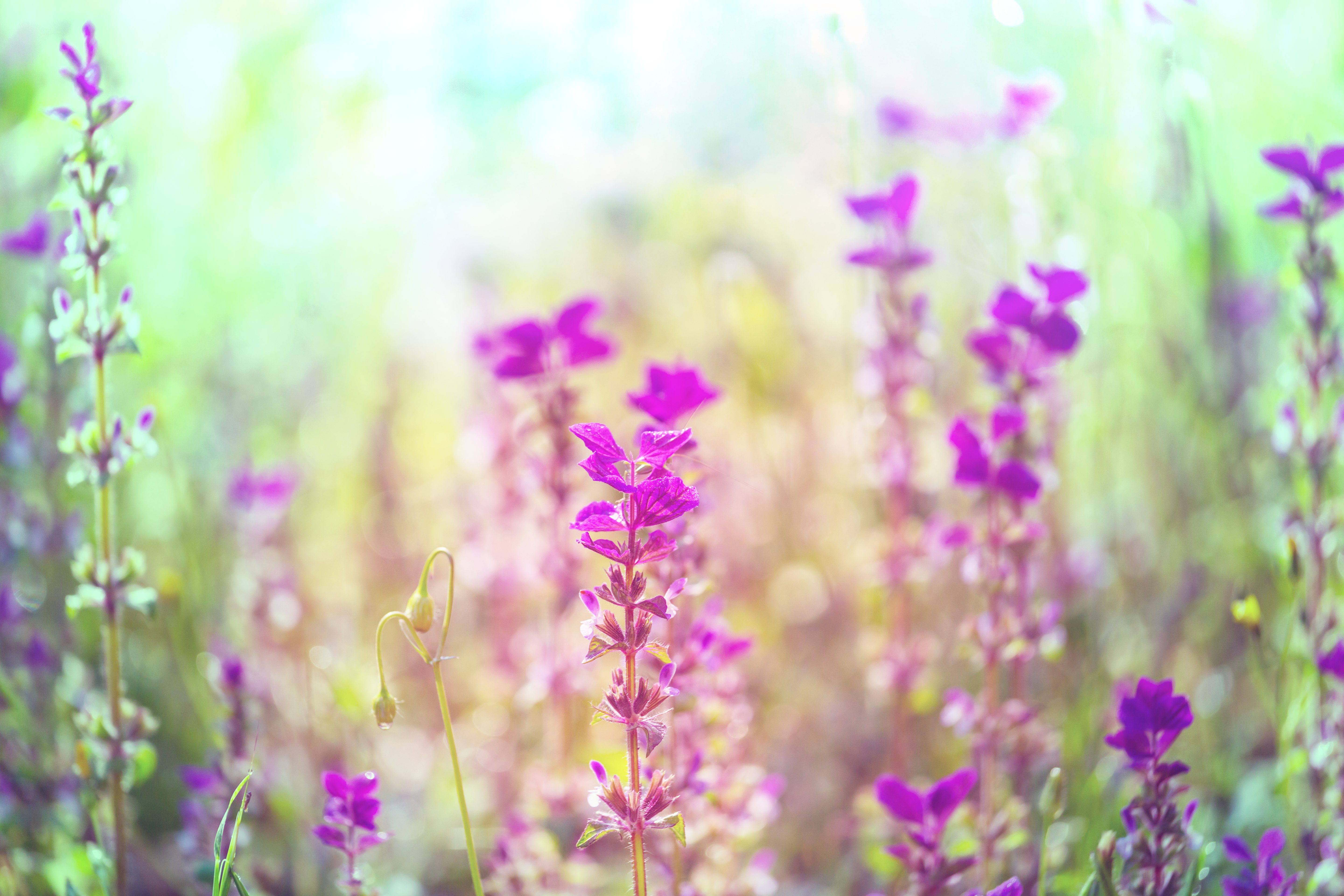 Gaviria-Laser-Vag-tightening_2012_1.pdf