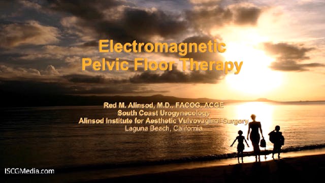 Electromagnetic Pelvic Floor Therapy (EMSella)