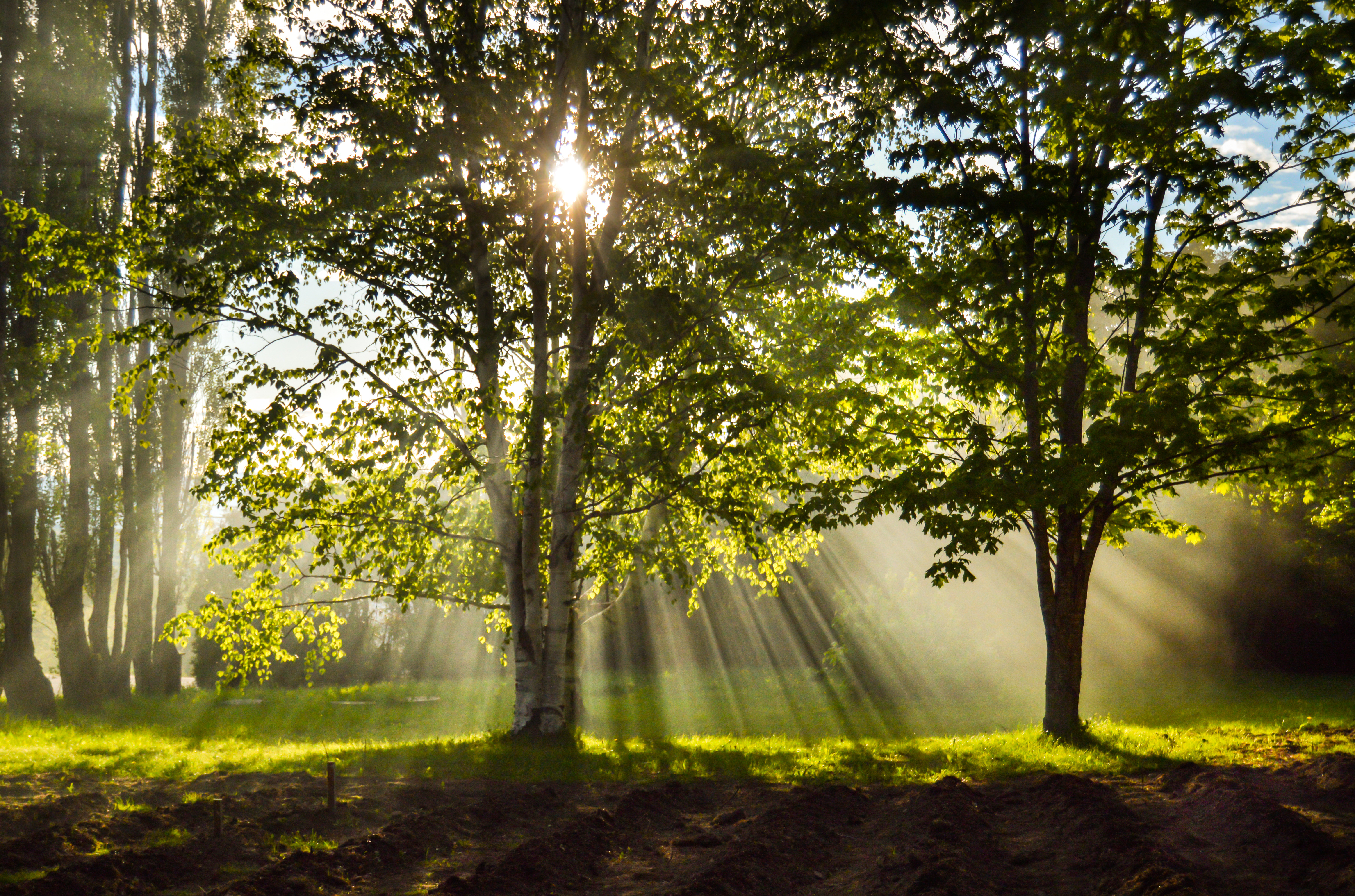 Jothilakshmi-labial-reduction-in-adolescent-population-case-series.pdf