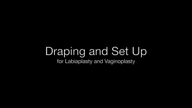 Campos para labioplastia – Vista del ...