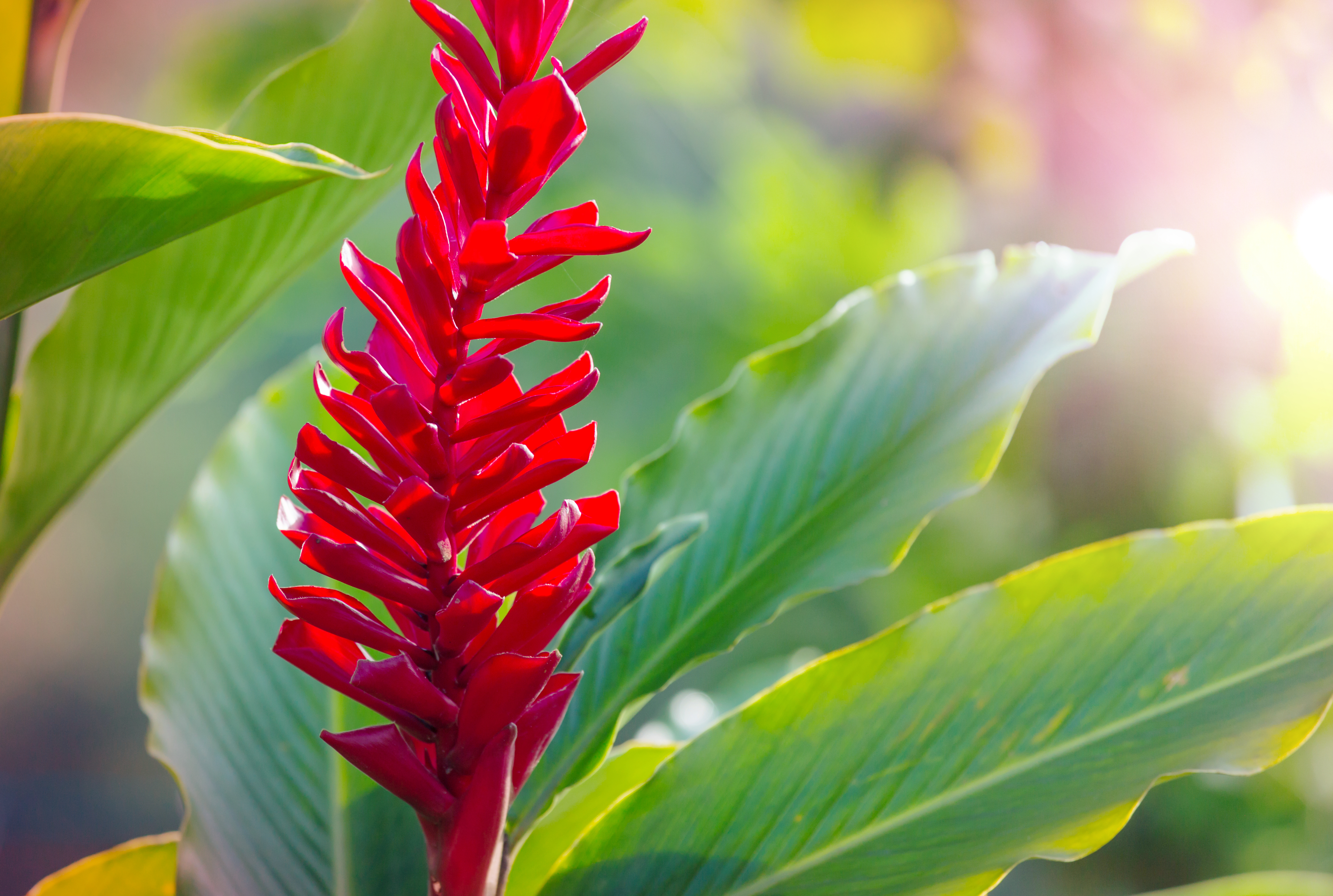 Gonzalez-RF-Touch_Gonzalez-JBRHA_2021.eng.pdf