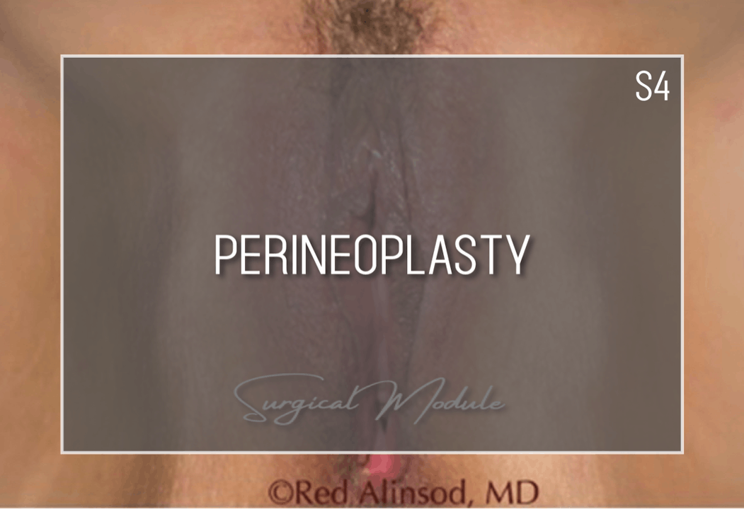 Module S4 - Perineoplasty - $4500