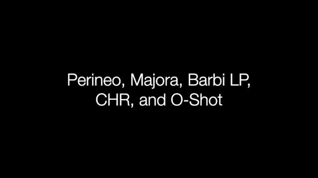 Perineo, Majora, Barbie LP, CHR, O-Shot