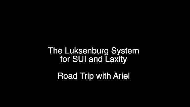 #31 Luksenburg System for the Lay Public