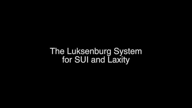 #30 Luksenberg System Intro