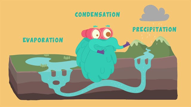 Photosynthesis The Dr Binocs Show Learn Videos For Kids