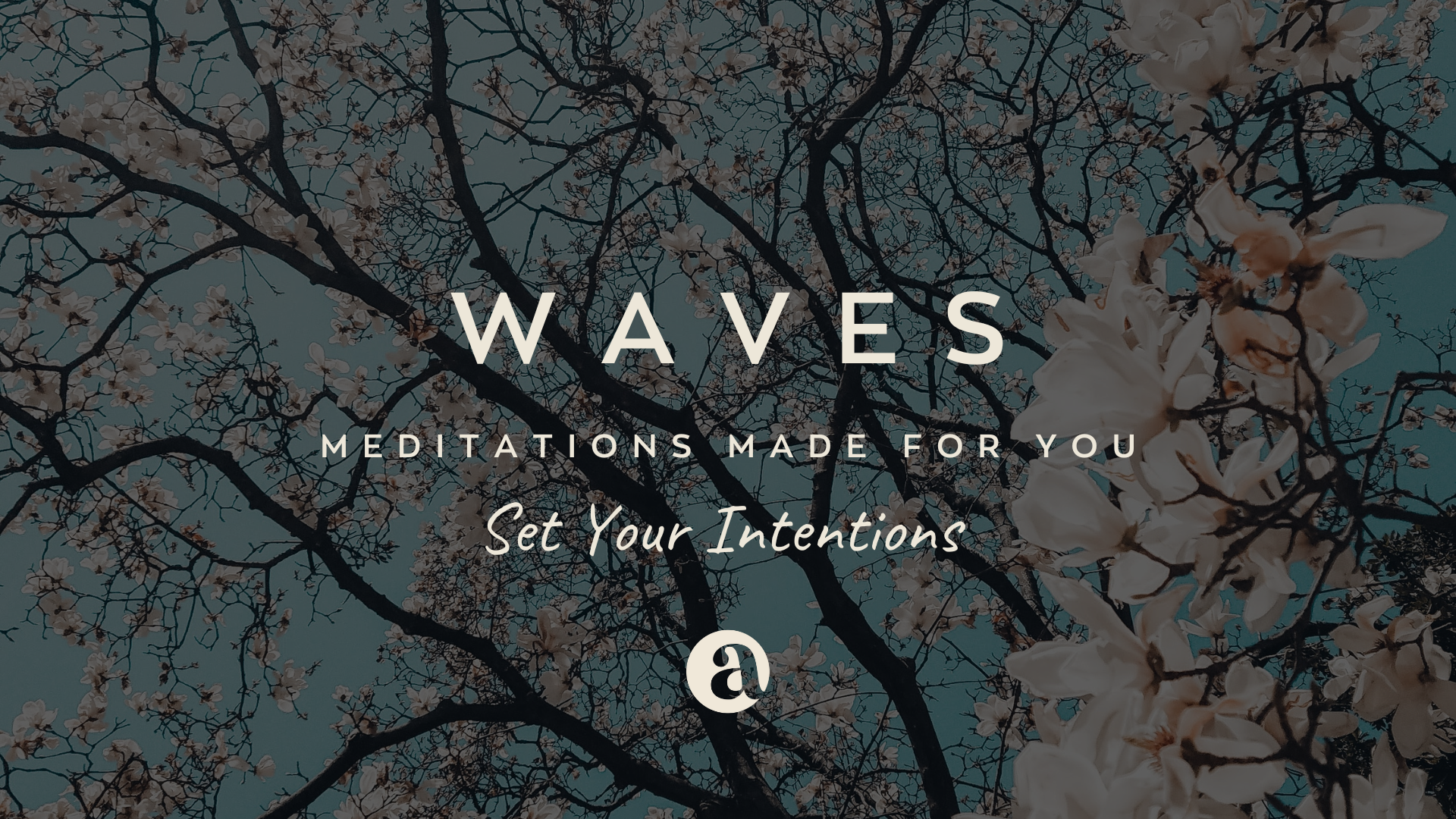 Set Your Intentions By Curtis Smith