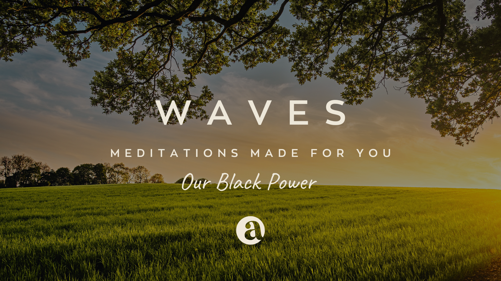 Our Black Power by Curtis Smith