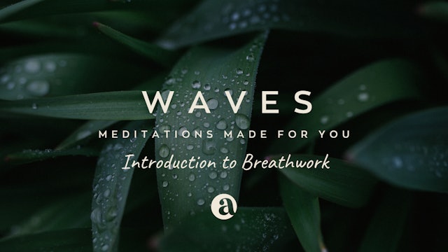 Intro to Breathwork