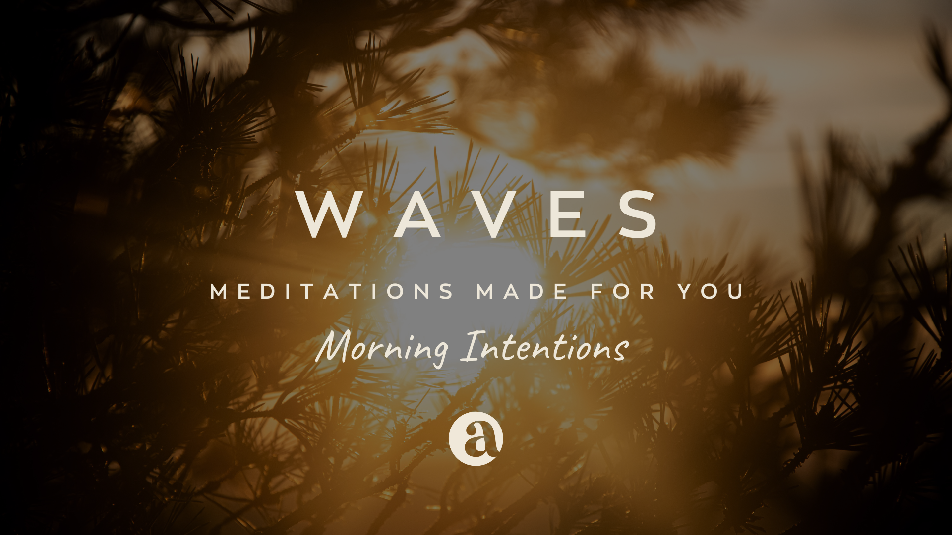 Morning Intentions by Curtis Smith