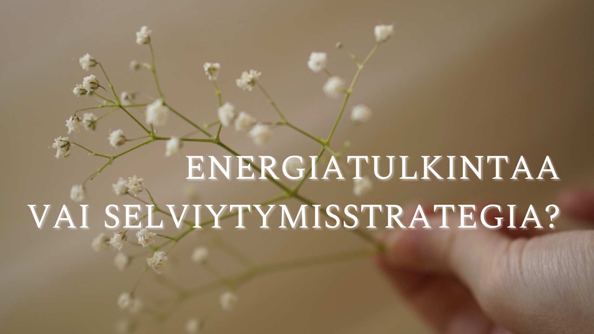 Energiatulkintaa vai selviytymisstrategiaa?